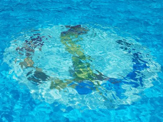 tn_IMG_20241216_152503516