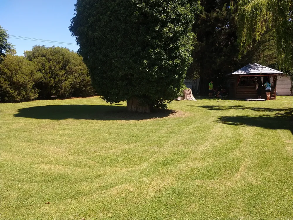 IMG_20231226_141055777